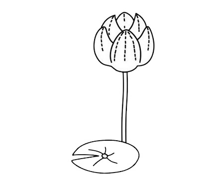 荷花铅笔画图片大全