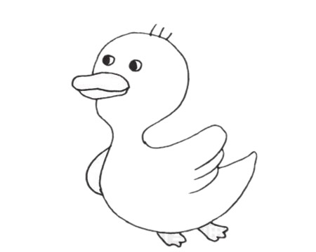 小鸭子铅笔画简单又漂亮