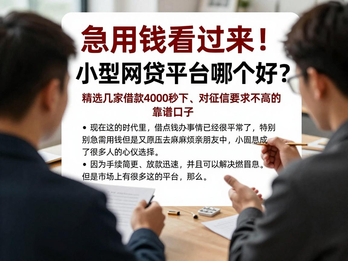 急用钱看过来！小型网贷平台哪个好？精选几家借款4000秒下、对征信要求不高的靠谱口子