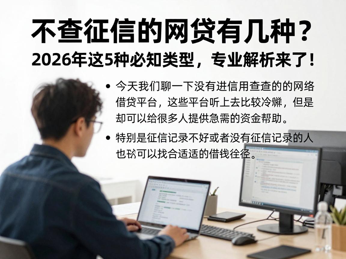 不查征信的网贷有几种?2026年这5种必知类型,专业解析来了!
