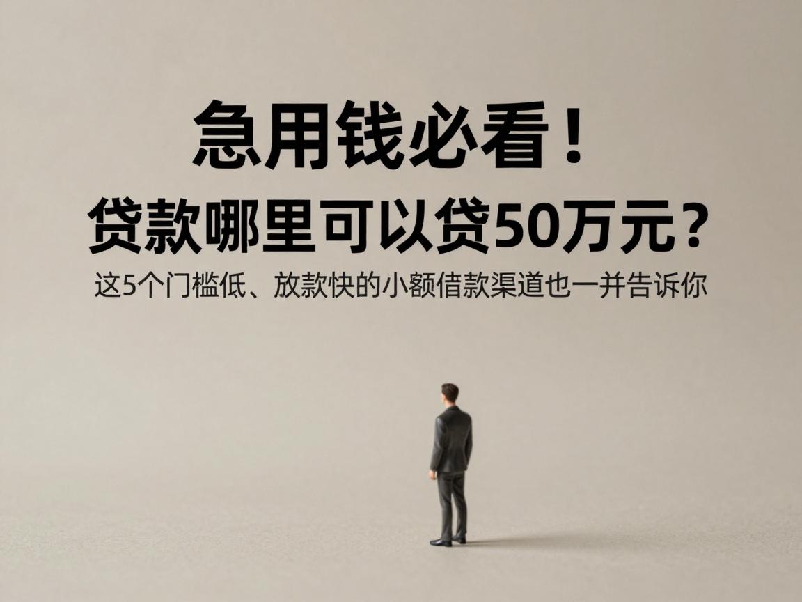 急用钱必看！贷款哪里可以贷50万元？这5个门槛低、放款快的小额借款渠道也一并告诉你