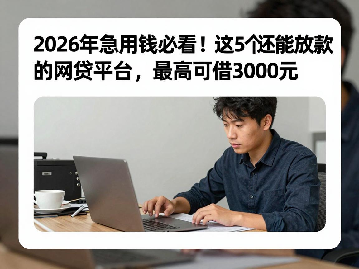 2026年急用钱必看!这5个还能放款的网贷平台,最高可借3000元
