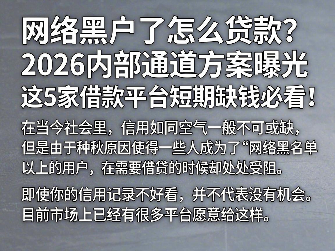 网络黑户了怎么贷款?2026内部通道方案曝光,这5家借款平台短期缺钱必看