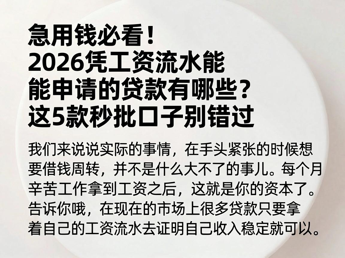 急用钱必看！2026凭工资流水能申请的贷款有哪些？这5款秒批口子别错过
