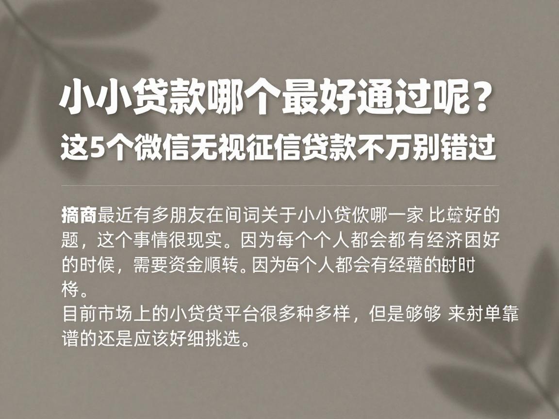 小额贷款哪个最好通过呢?这5个微信无视征信贷款千万别错过