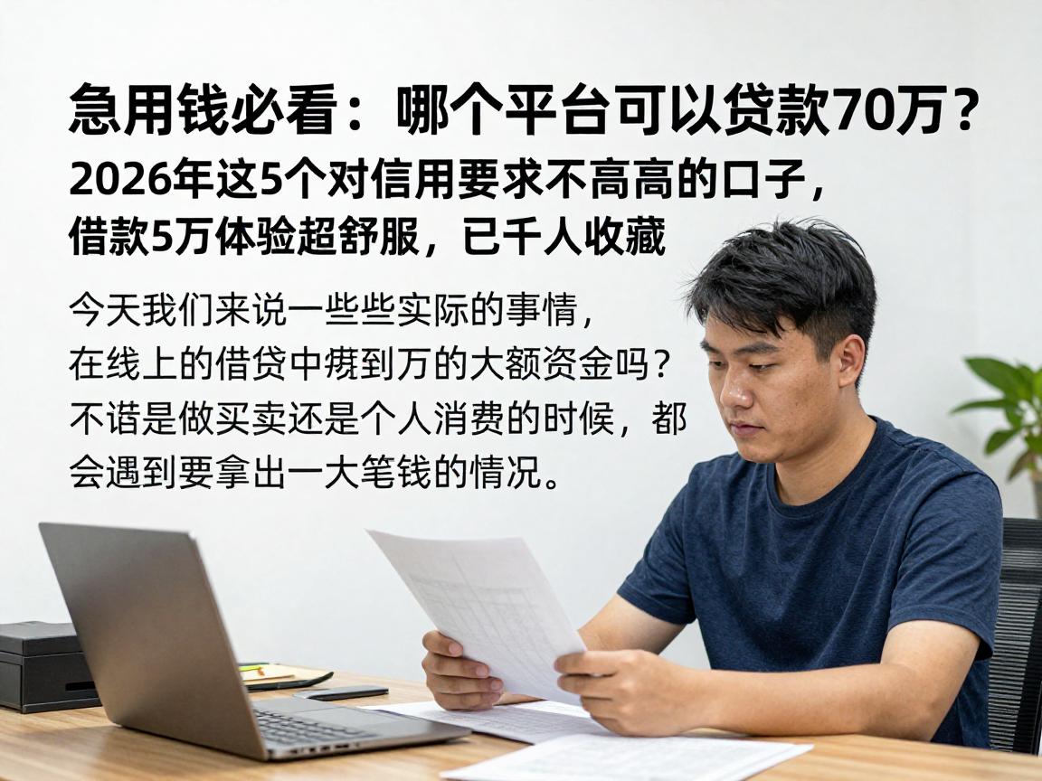 急用钱必看：哪个平台可以贷款70万？2026年这5个对信用要求不高的口子，借款5万体验超舒服，已千人收藏
