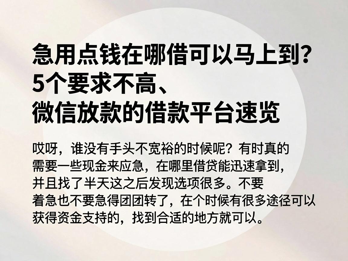 急用点钱在哪借可以马上到?5个要求不高、微信放款的借款平台速览