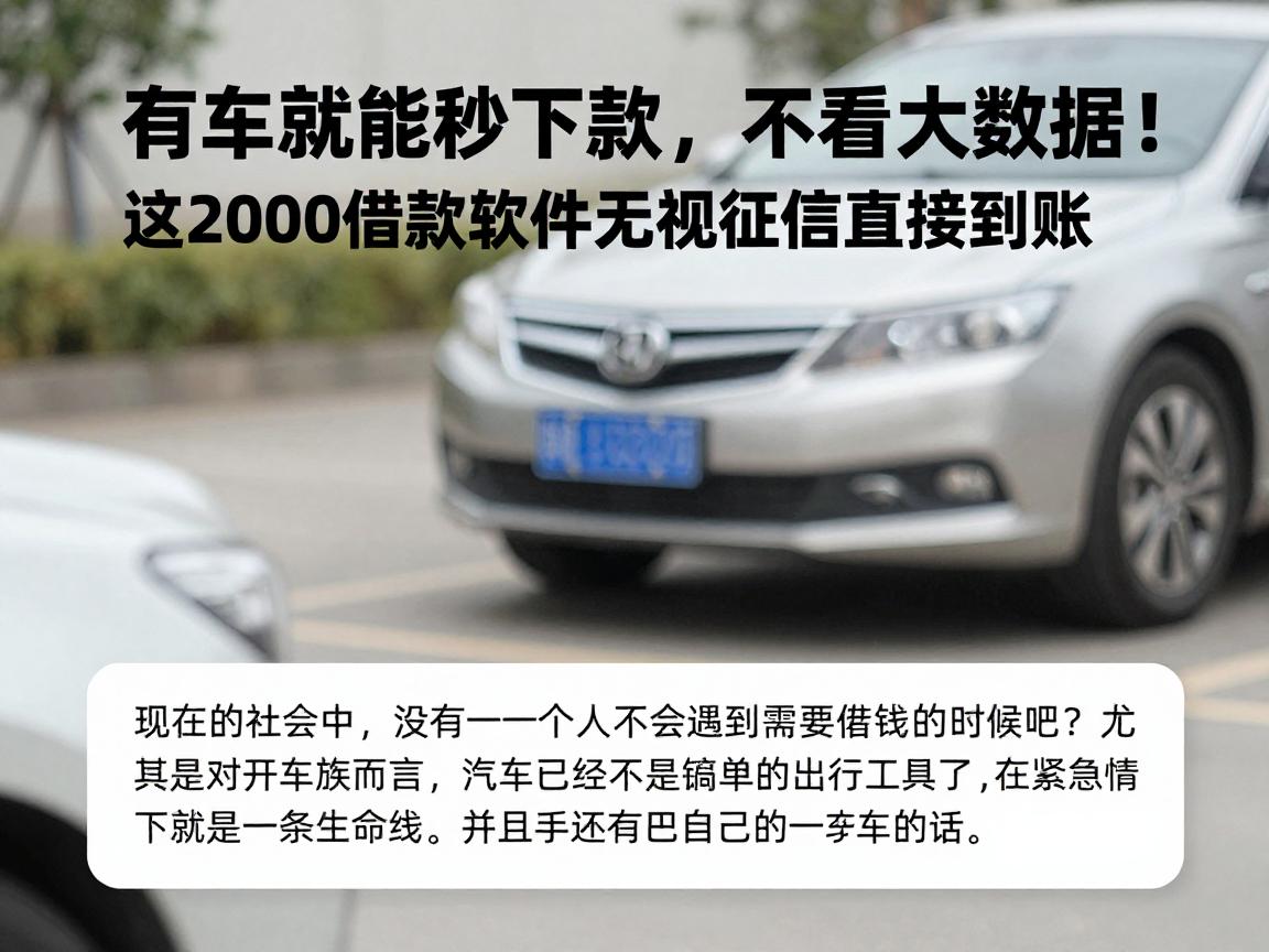 有车就能秒下款,不看大数据!这2000借款软件无视征信直接到账