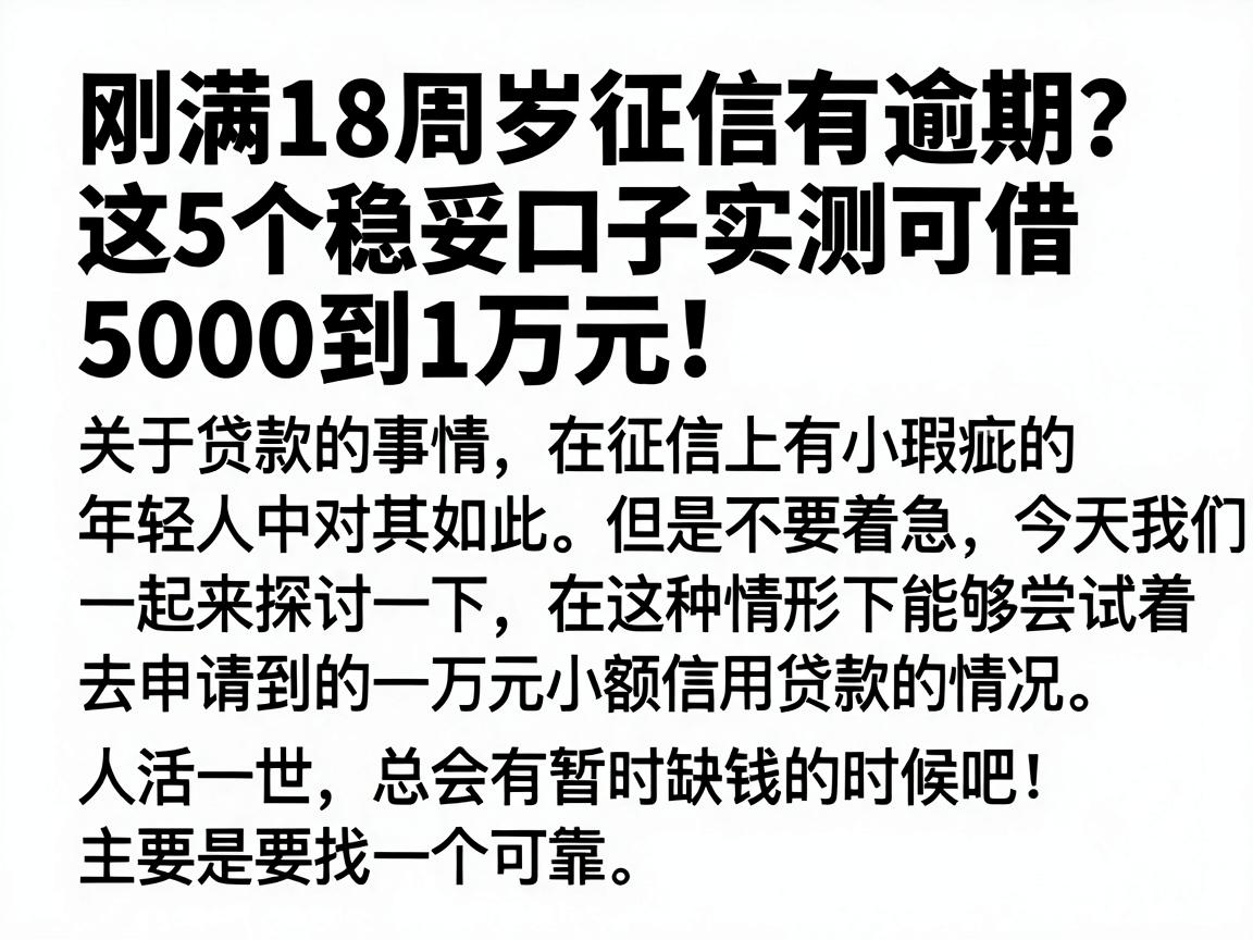 刚满18周岁征信有逾期?这5个稳妥口子实测可借5000到1万元!
