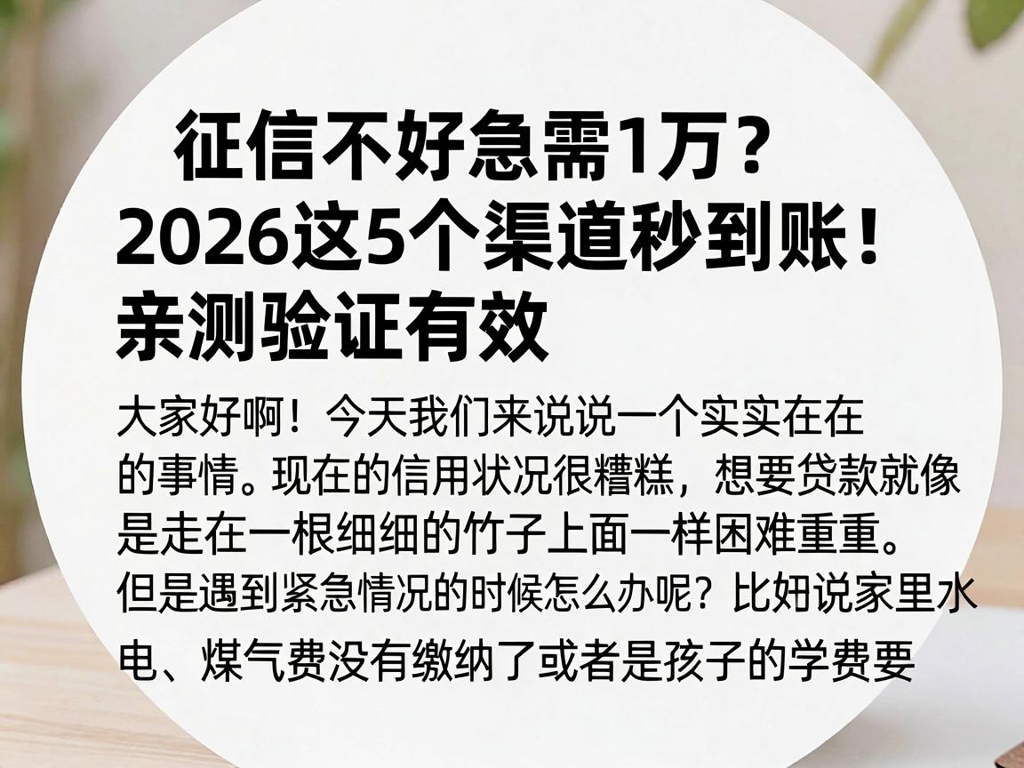 征信不好急需1万?2026这5个渠道秒到账!亲测验证有效