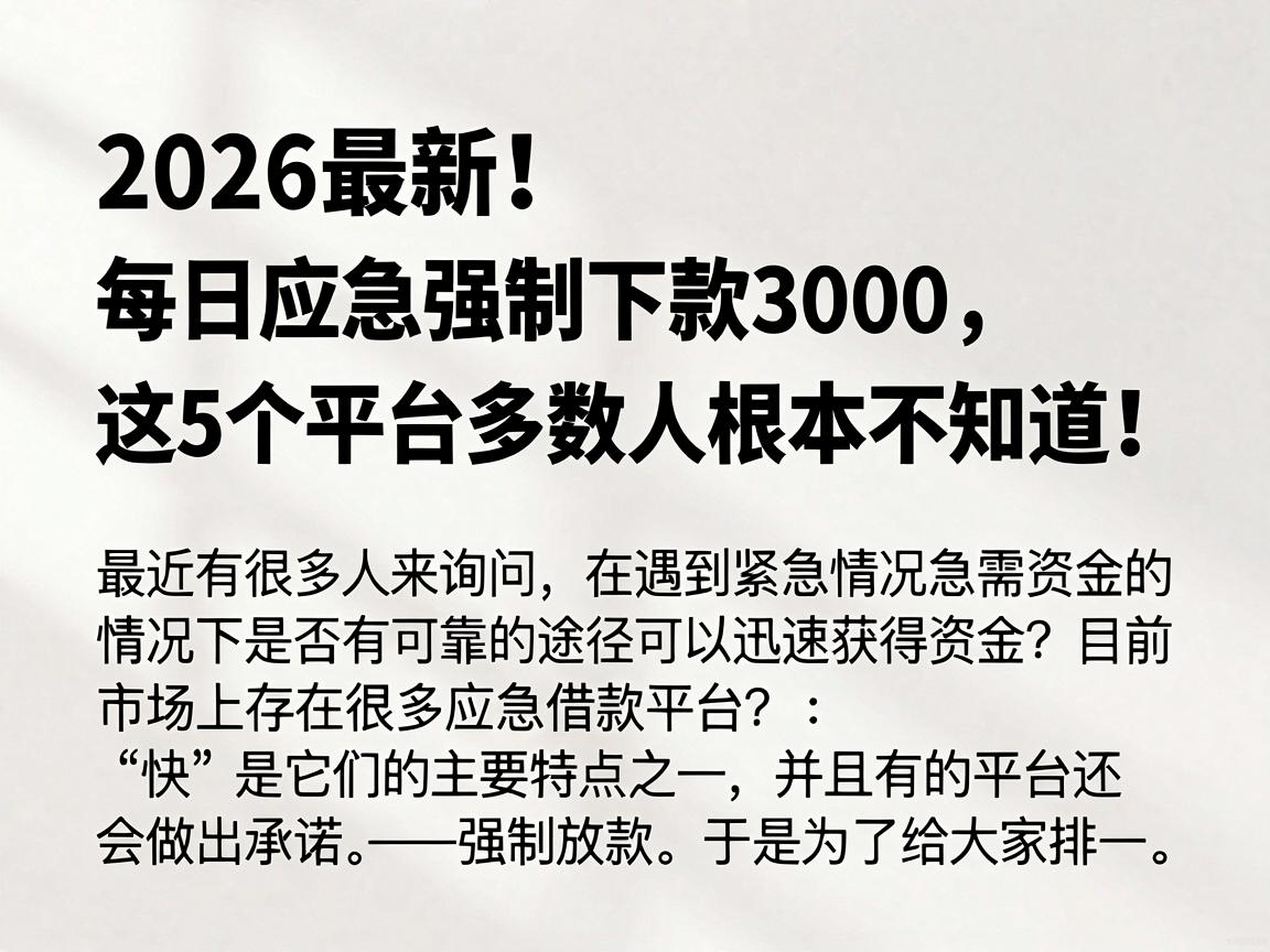 2026最新!每日应急强制下款3000,这5个平台多数人根本不知道!