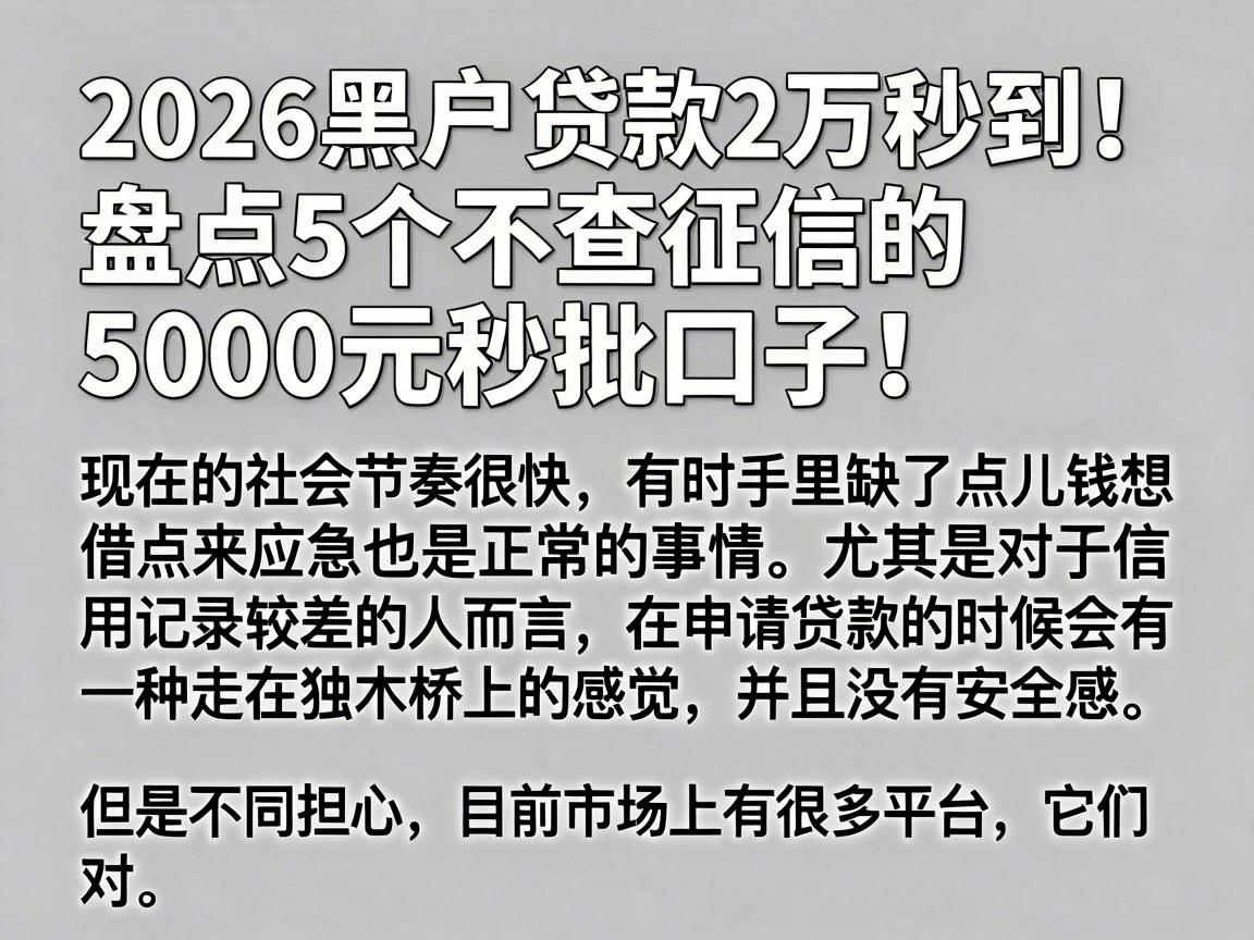 2026黑户贷款2万秒到!盘点5个不查征信的5000元秒批口子