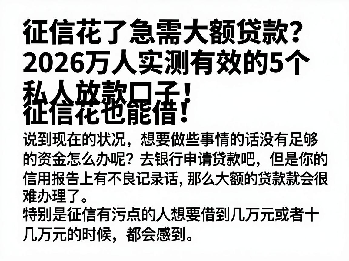 征信花了急需大额贷款？2026万人实测有效的5个私人放款口子，征信花也能借！