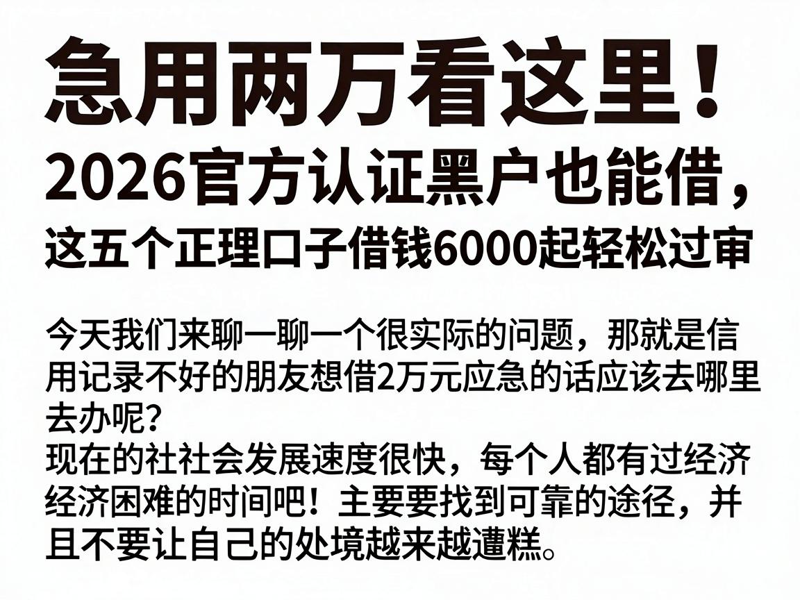 急用两万看这里!2026官方认证黑户也能借,这五个正规口子借钱6000起轻松过审