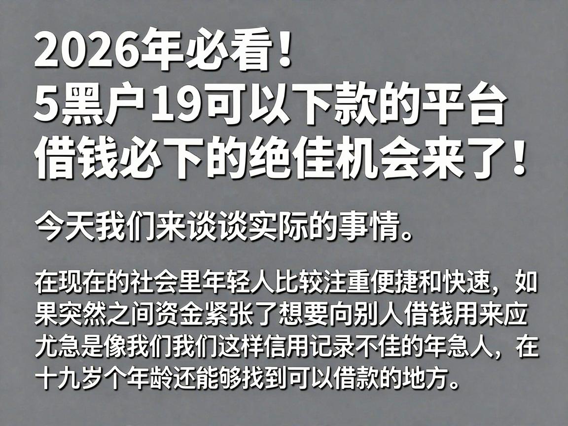 2026年必看!5个黑户19可以下款的平台,借钱必下的绝佳机会来了!