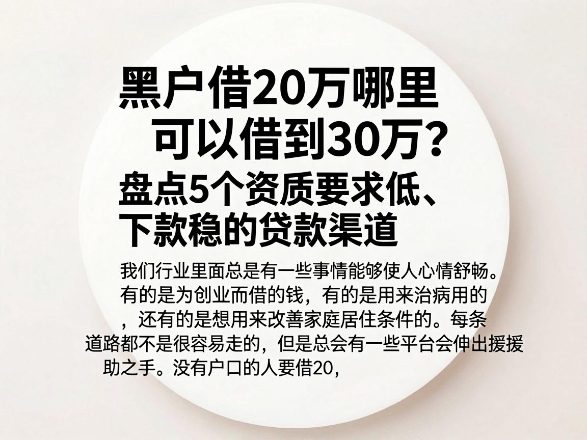 黑户借20万哪里可以借到30万？盘点5个资质要求低、下款稳的贷款渠道
