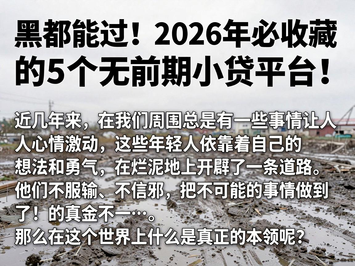 黑白都能过！2026年必收藏的5个无前期小贷平台