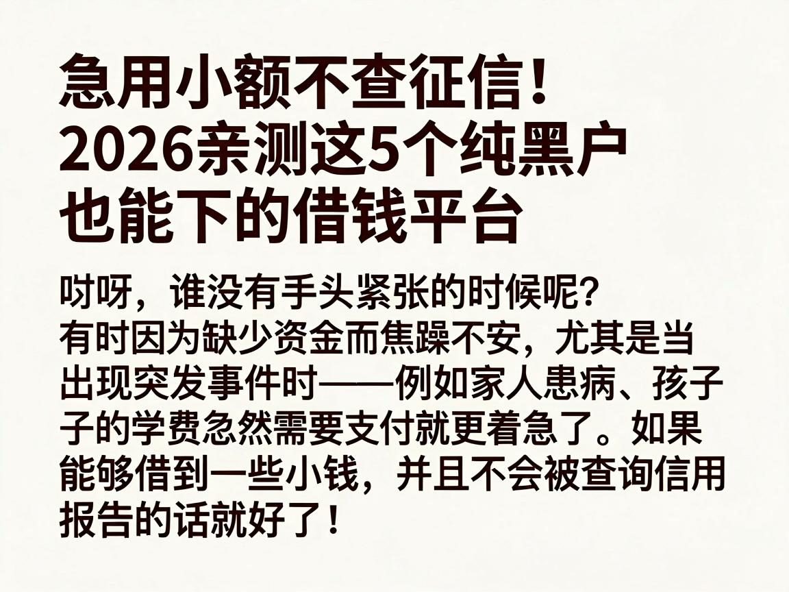 急用小额不查征信！2026亲测这5个纯黑户也能下的借钱平台