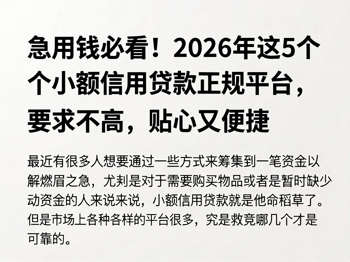 急用钱必看!2026年这5个小额信用贷款正规平台,要求不高、放款快,贴心又便捷