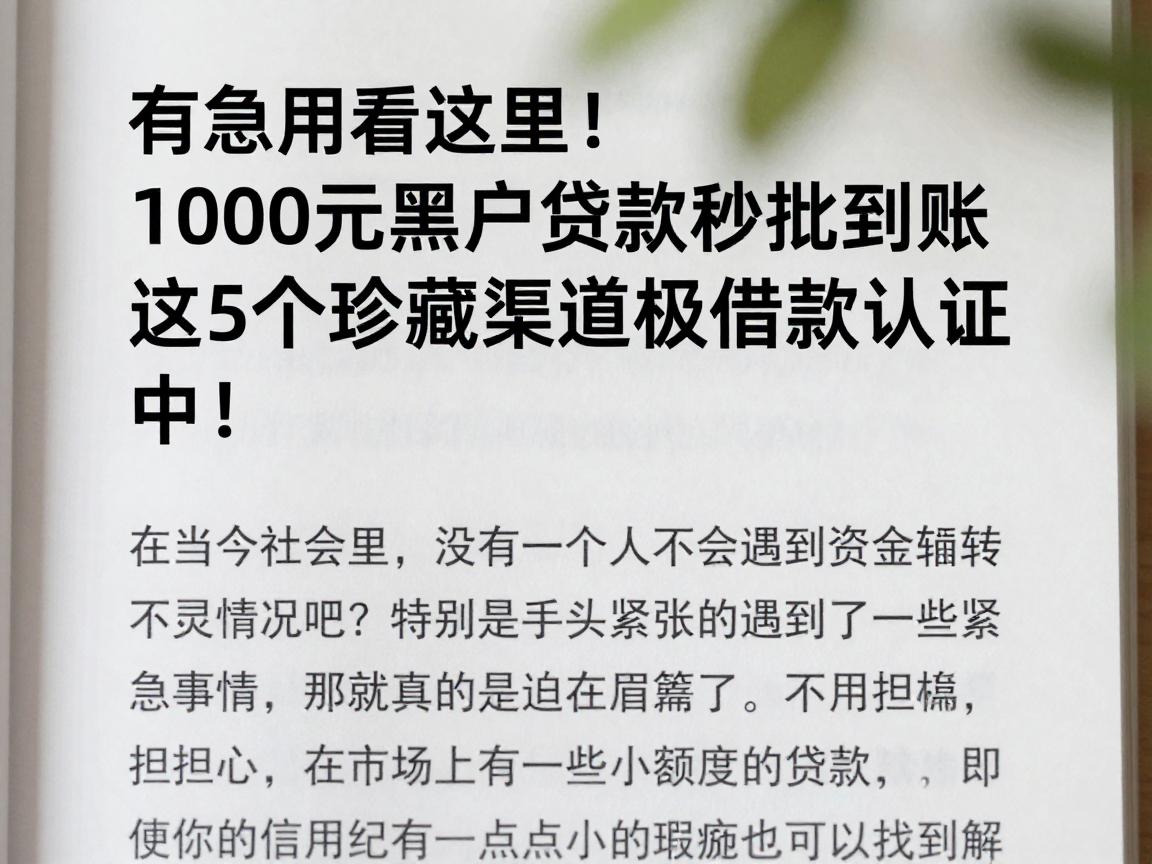 有急用看这里!1000元黑户贷款秒批到账,这5个珍藏渠道极速借款认证中!