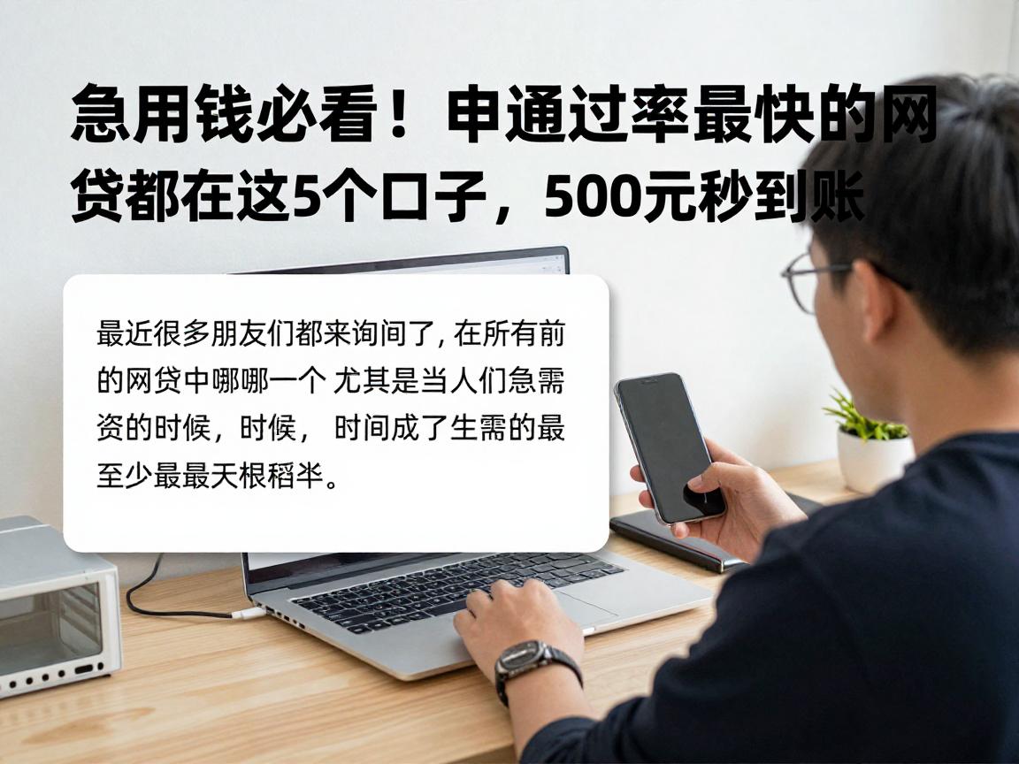 急用钱必看!申请通过率最快的网贷都在这5个口子,500元秒到账