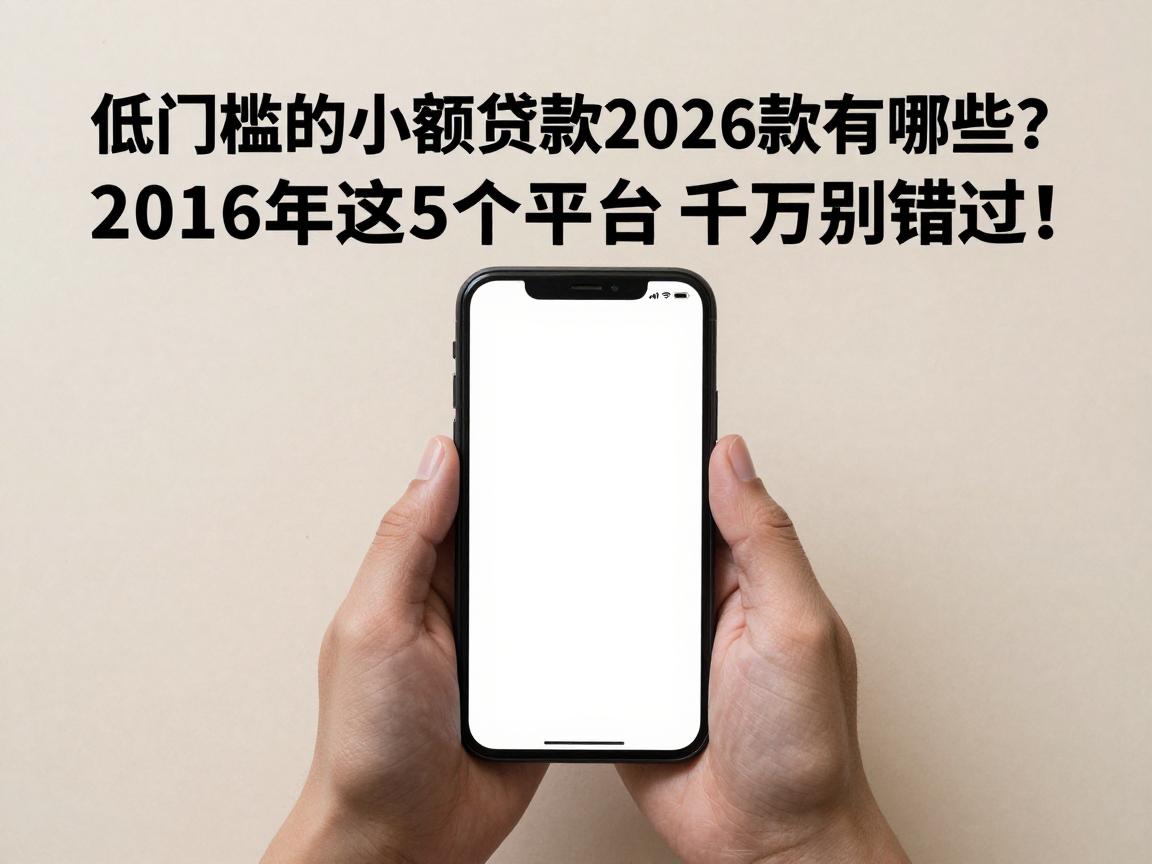 低门槛的小额贷款2026款有哪些?2026年这5个平台千万别错过!