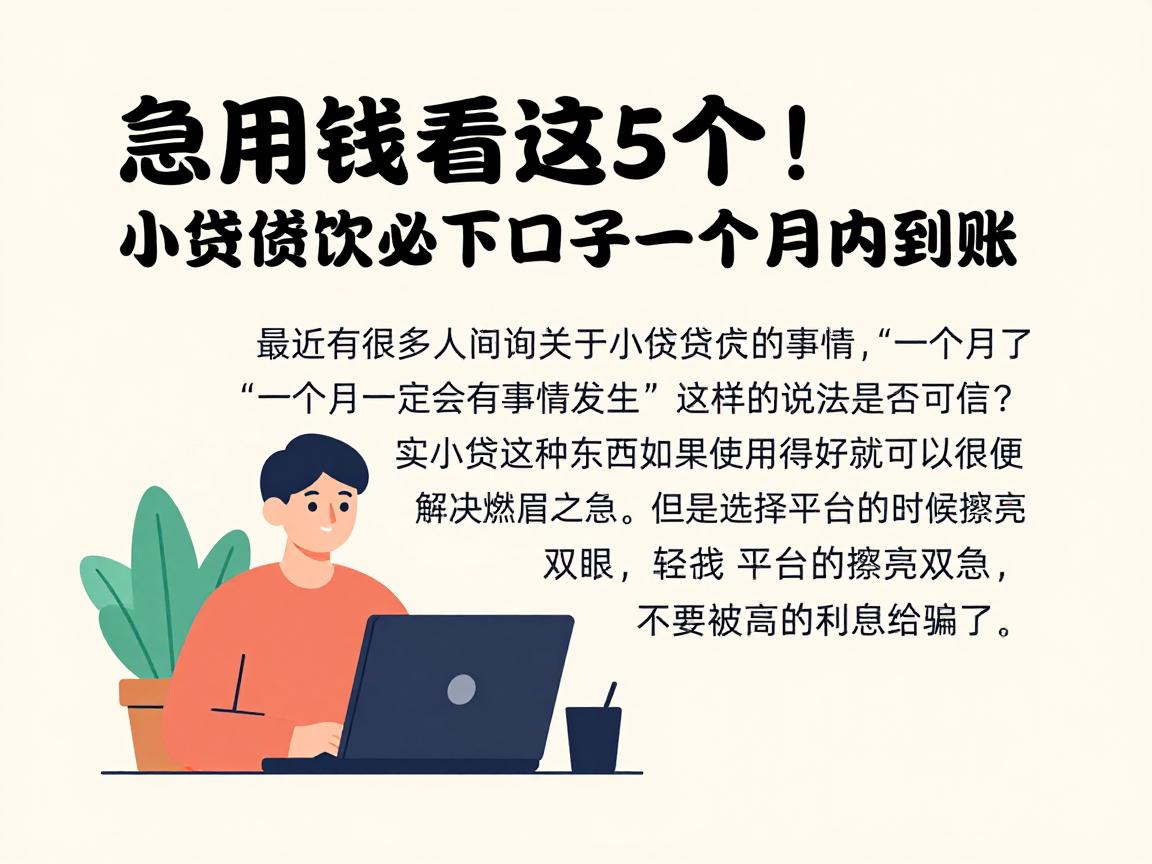 急用钱看这5个!小额贷款必下口子一个月内到账,亲测有效