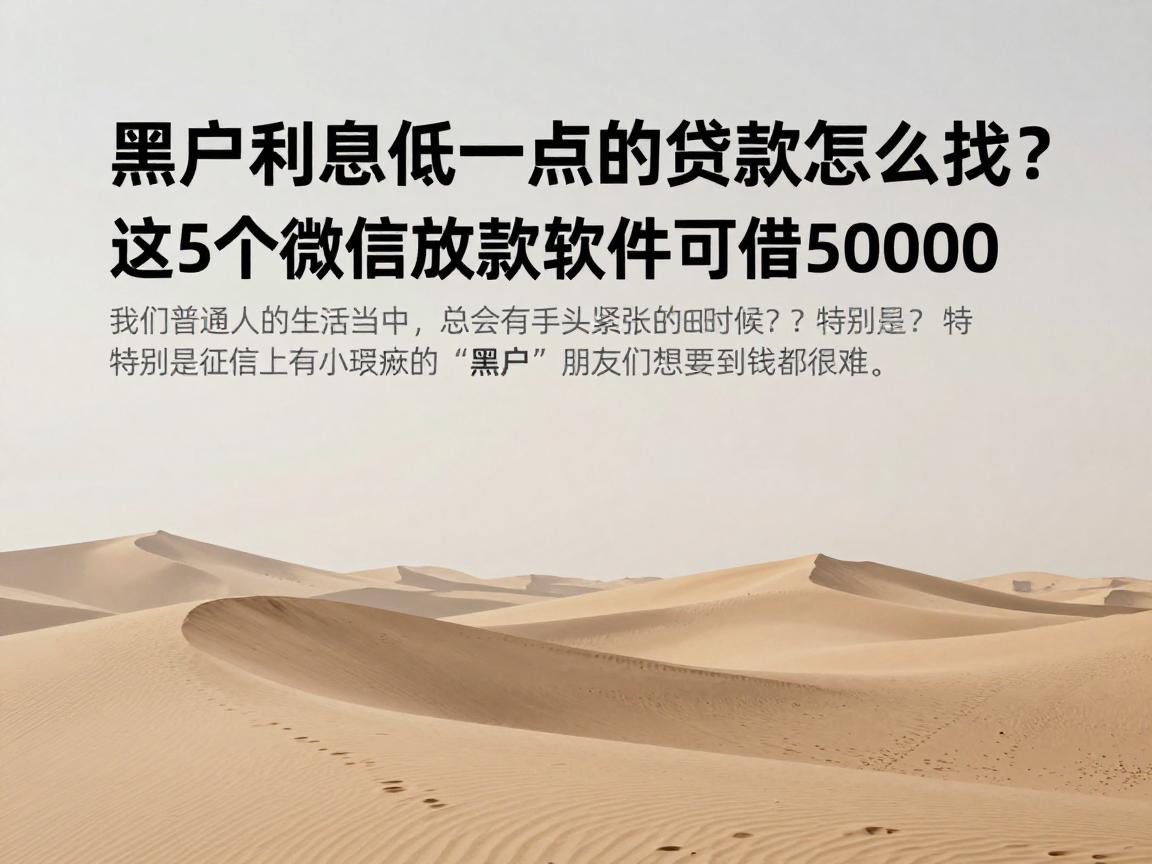 黑户利息低一点的贷款怎么找?这5个微信放款软件可借50000