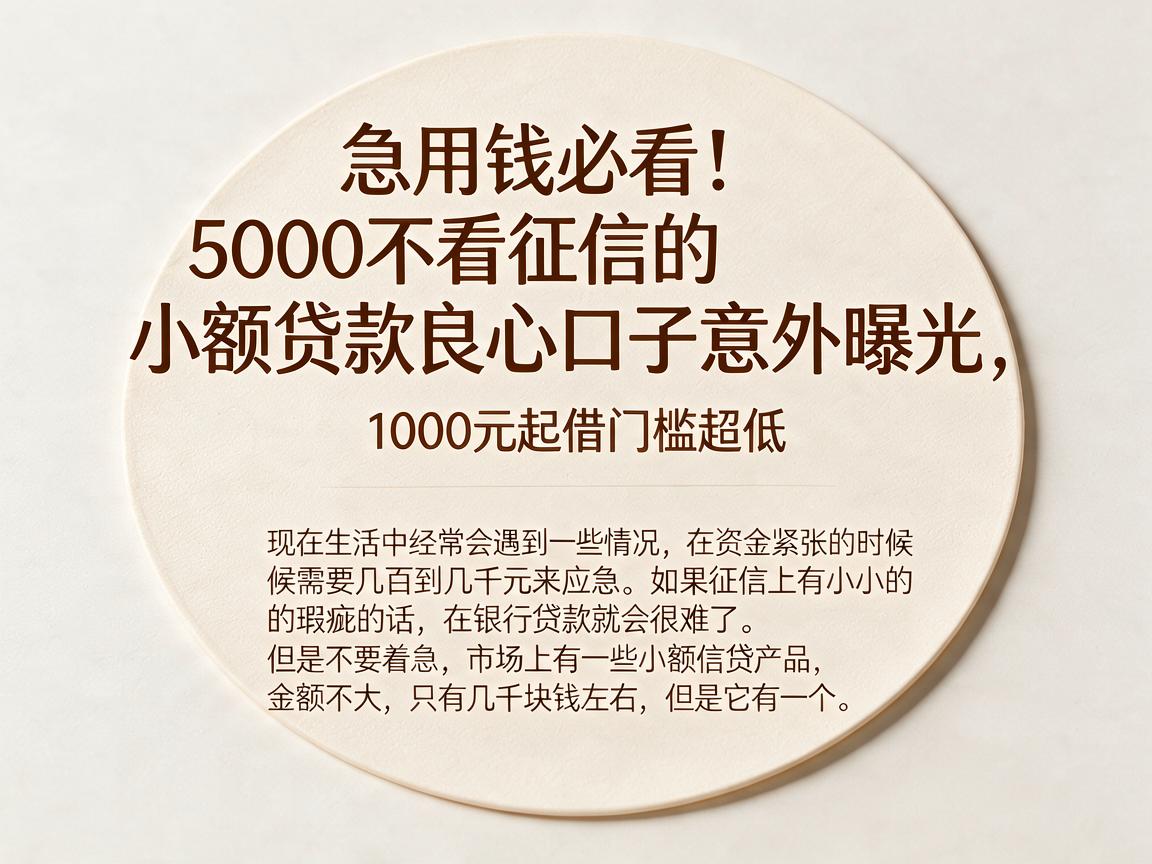 急用钱必看!5000不看征信的小额贷款良心口子意外曝光,1000元起借门槛超低