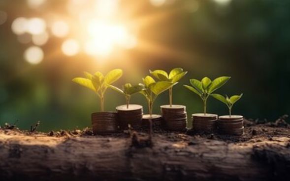 征信报告 贷款口子9月快记下来！深挖这5个征信报告网贷软件借钱口子